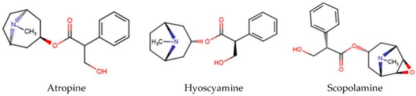 some-typical-toxic-alkaloids-of -datura-metel-l